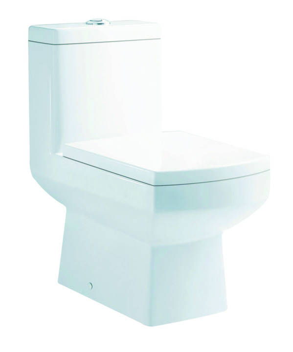 Parryware Oube X Single Piece S-110/P-180 Closet / Toilet-C847H
