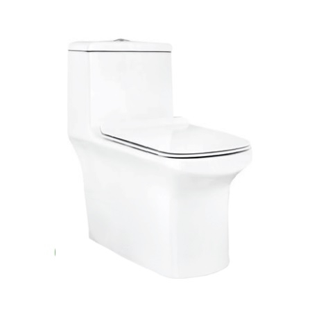 Parryware Apollo Rimless Single Piece S-220 Closet / Toilet-C8939