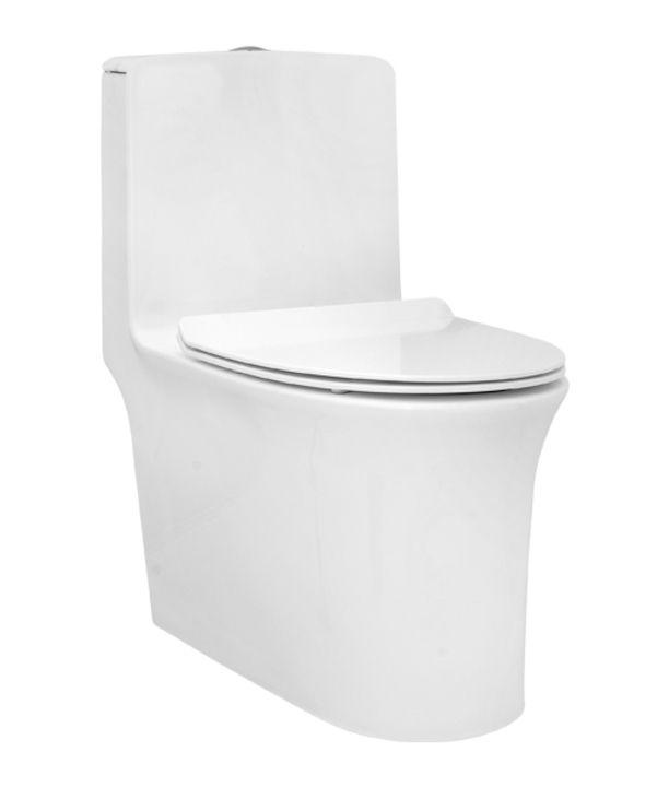 Parryware Aquiline Single Piece S-220 Closet / Toilet-C8902