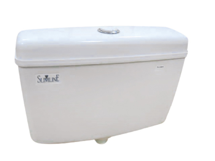 Parryware Economy Slimline Dual Flush Plastic Cistern White Toilet Flush E8109