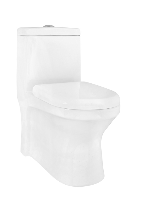 Parryware Marvel Single Piece S-220 Closet / Toilet-C8938