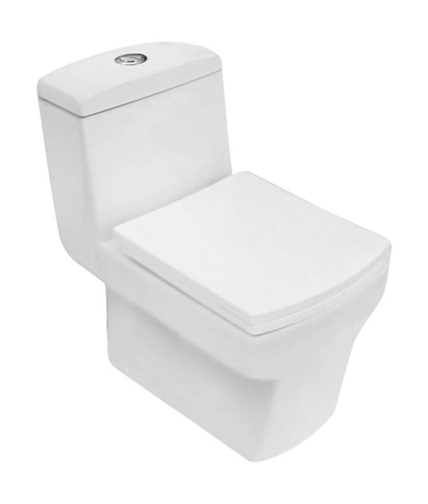Parryware Camel Single Piece s-180 Closet / Toilet-C8857