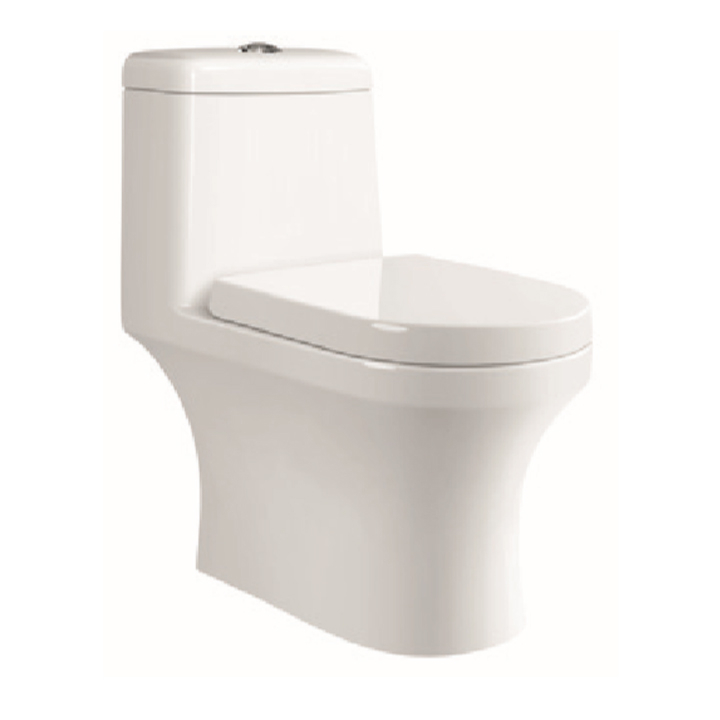 Parryware Joy Rimless Single Piece S-180 Closet / Toilet-C8917