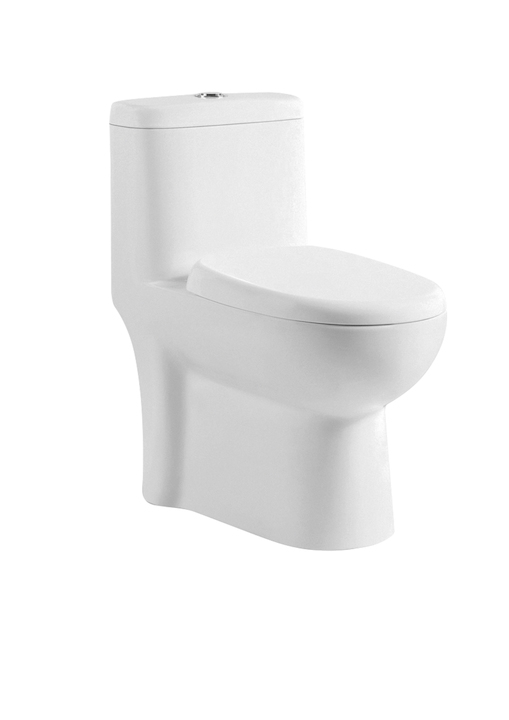 Parryware Duke Single Piece S - 300 Closet / Toilet-C8916