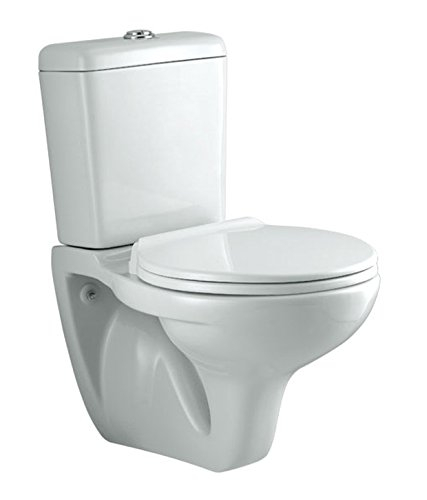 Parryware Indus Wall Hung with Dual Flush Cistern Closet / Toilet-C0769