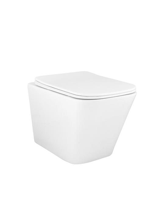 Parryware Inslim Rimless Wall Hung Closet / Toilet-C8936