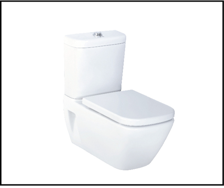 Parryware Verve Wall Hung with Dual Flush Cistern Closet / Toilet-C0762