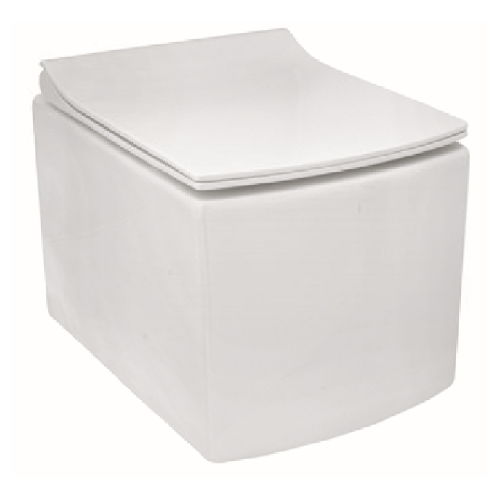 Parryware Helix Rimless Wall Hung Closet / Toilet-C8895
