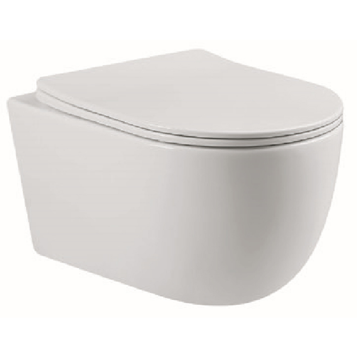 Parryware Amigo Rimless Wall Hung Closet / Toilet-C8933