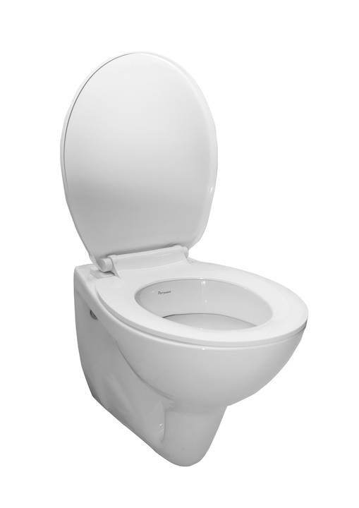 Parryware Angel 19" Compact Wall Hung Closet / Toilet-C8915