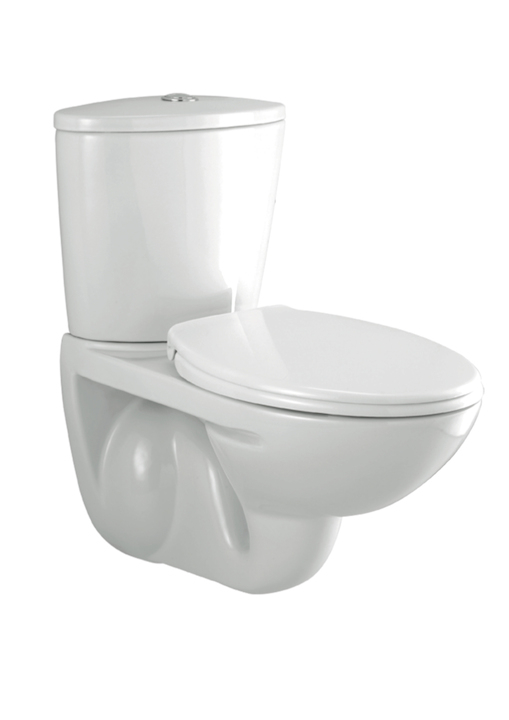 Parryware Flair Wall Hung with Dual Flush Cistern Closet / Toilet- C0768