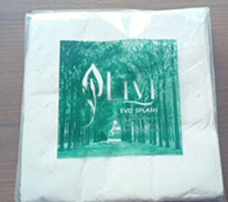 Paseo Dinner Napkin 2Ply 53335146