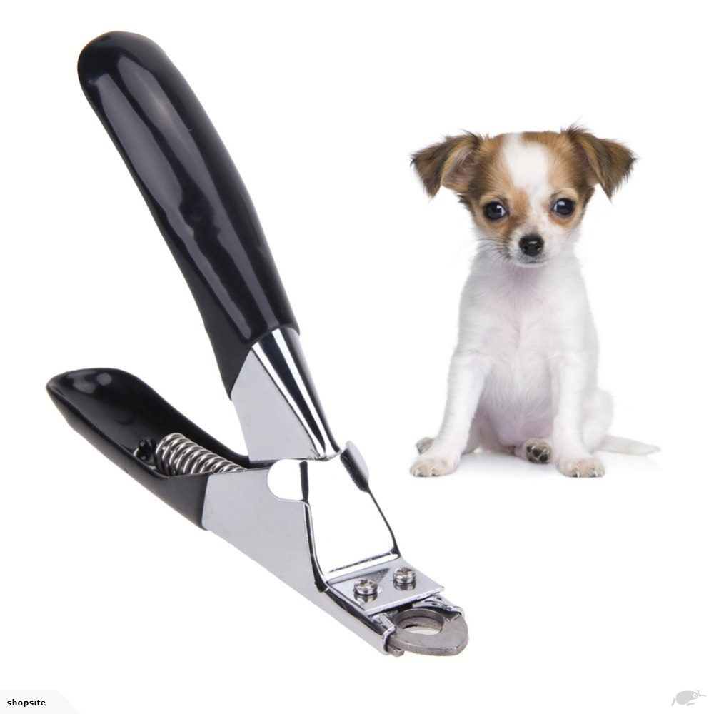 Laughing Pet Nail Scissor