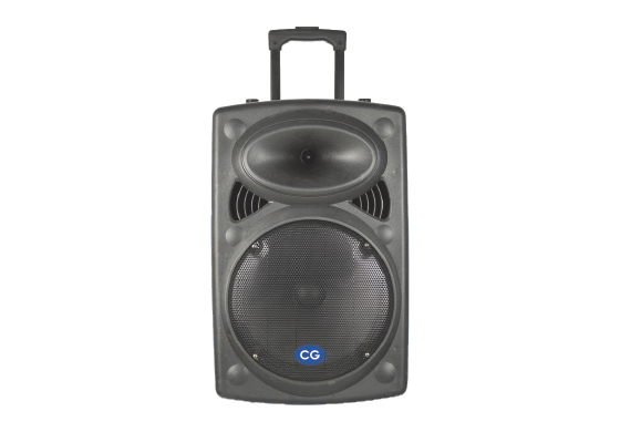 CG 12 Inch Speaker CGTS12C01- 85 W Black Trolley Speaker