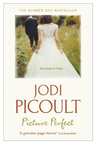 Picture Perfect By Jodi Picoult