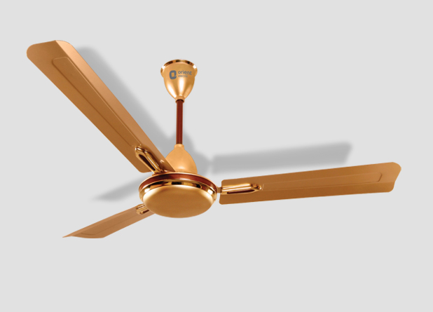 Orient Quasar Ornamental 48-Inch Golden Chocolate 3 Blade Ceiling Fan (Multicolor)
