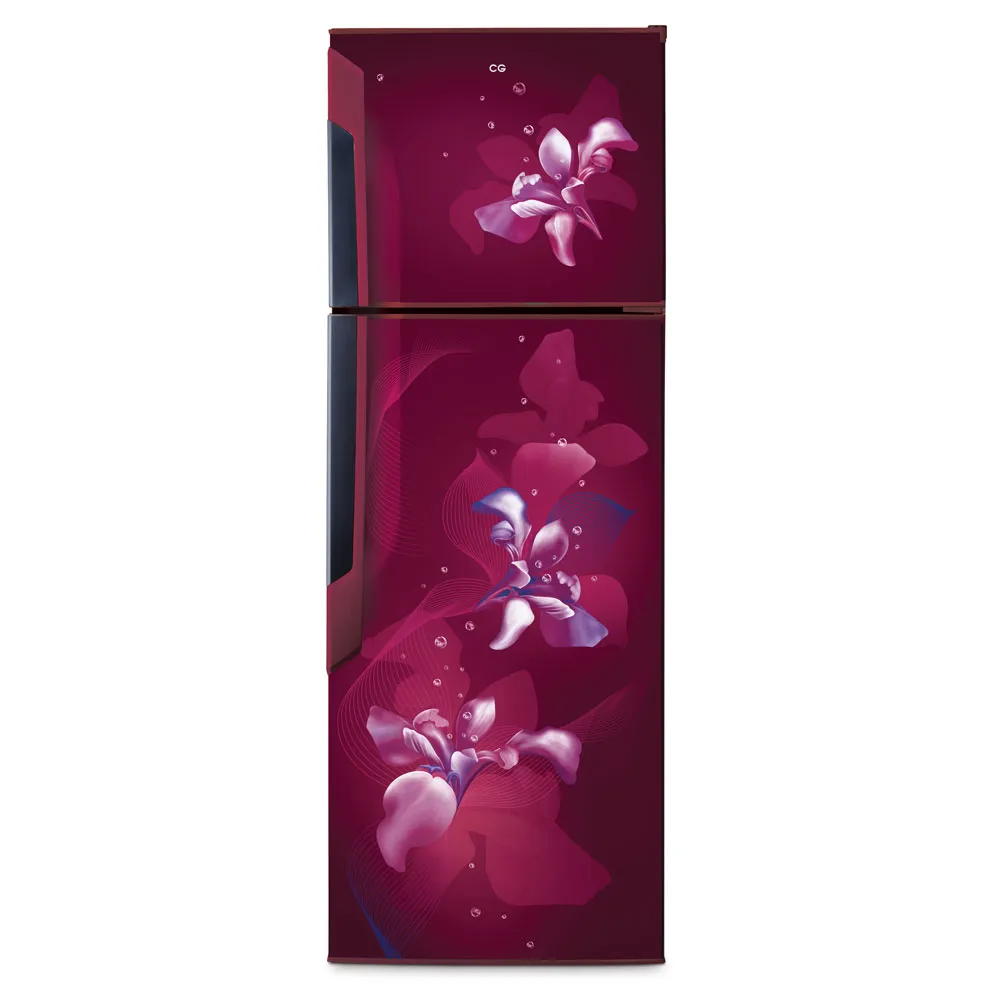 CG Refrigerator 290 Ltr CGD3101OXWN