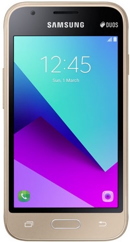 Samsung Galaxy J1 Nxt prime (J106H)-Gold