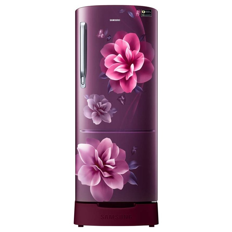 Samsung 230L Single Door Refrigerator RR24A272ZCR/IM