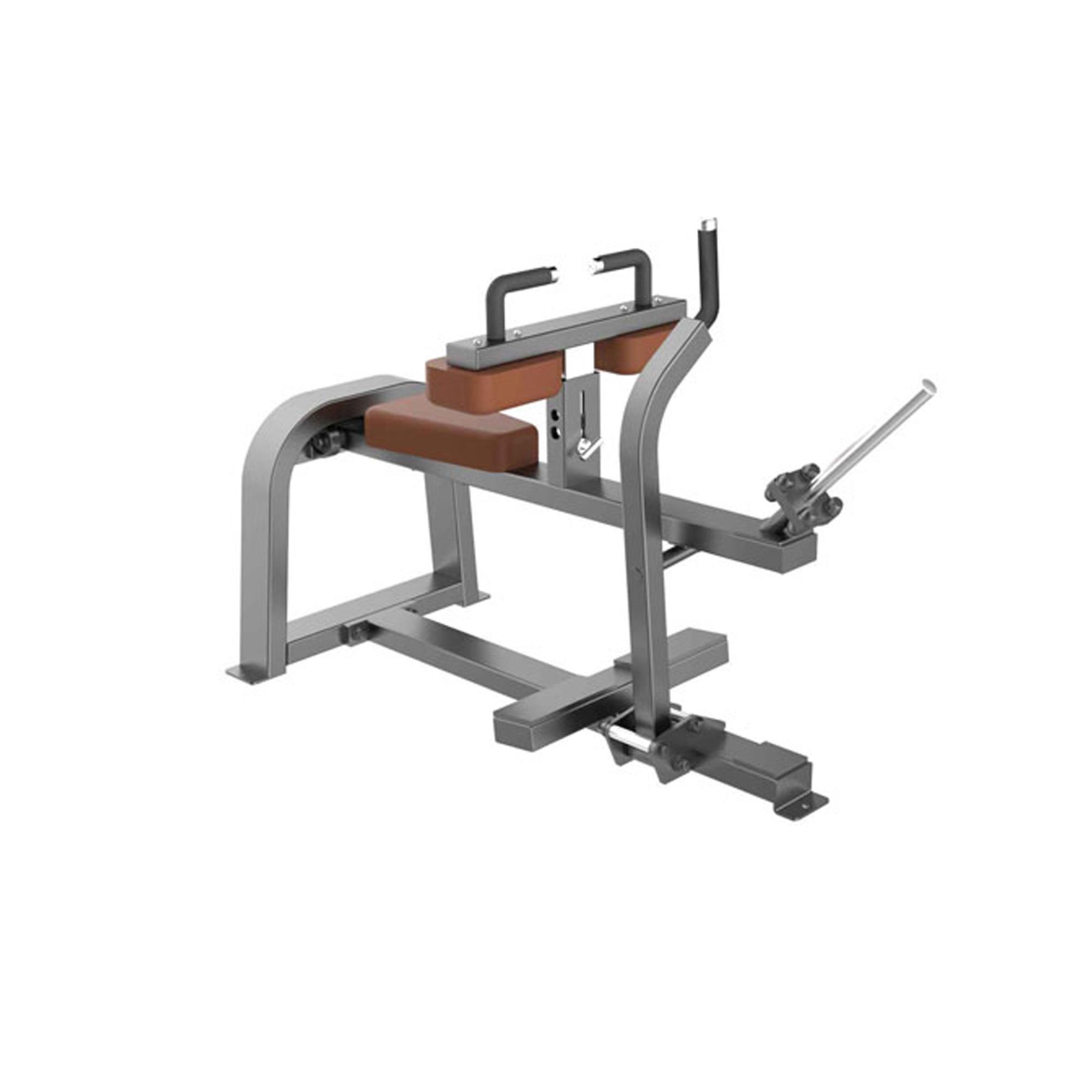 DHZ Seated Calf