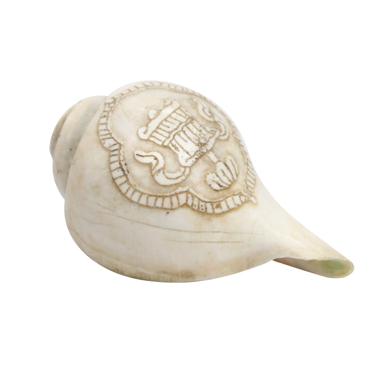 Seven Chakra Handicraft -White Mandala Carved Conch Shells (Sankha)- 3.5"