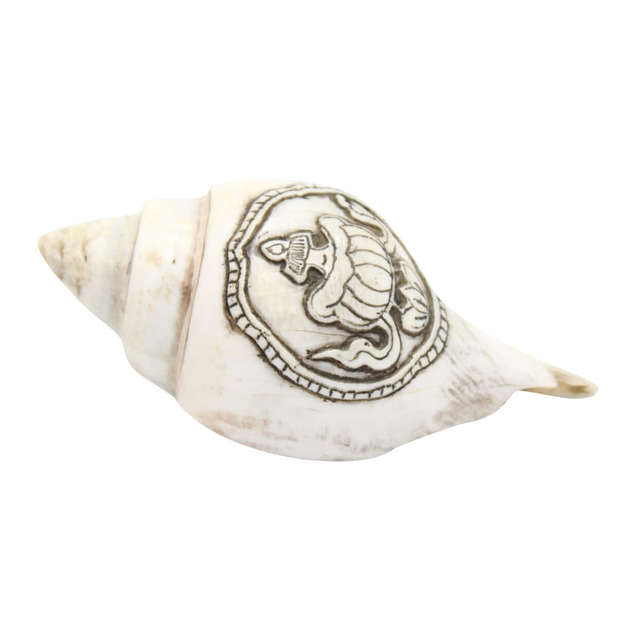 Seven Chakra Handicraft - White Mandala Carved Conch Shells (Sankha)- 3.5"