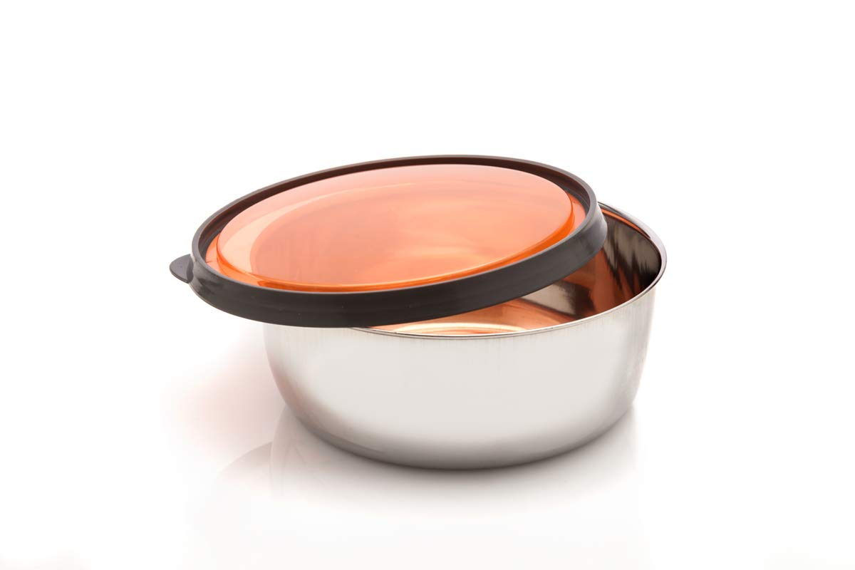 Signoraware Elegant Steel Container 625ml