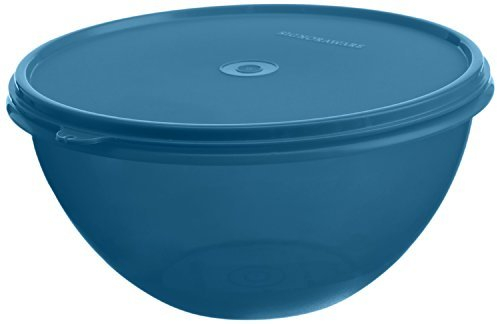 Signoraware Wonder Bowl No.1 Container
