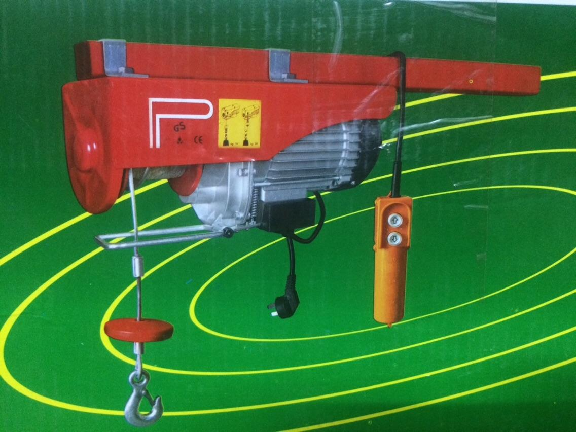 Superior Quality Mini Electric Hoist 100kg Small Home Lift Hoist Controls Remote