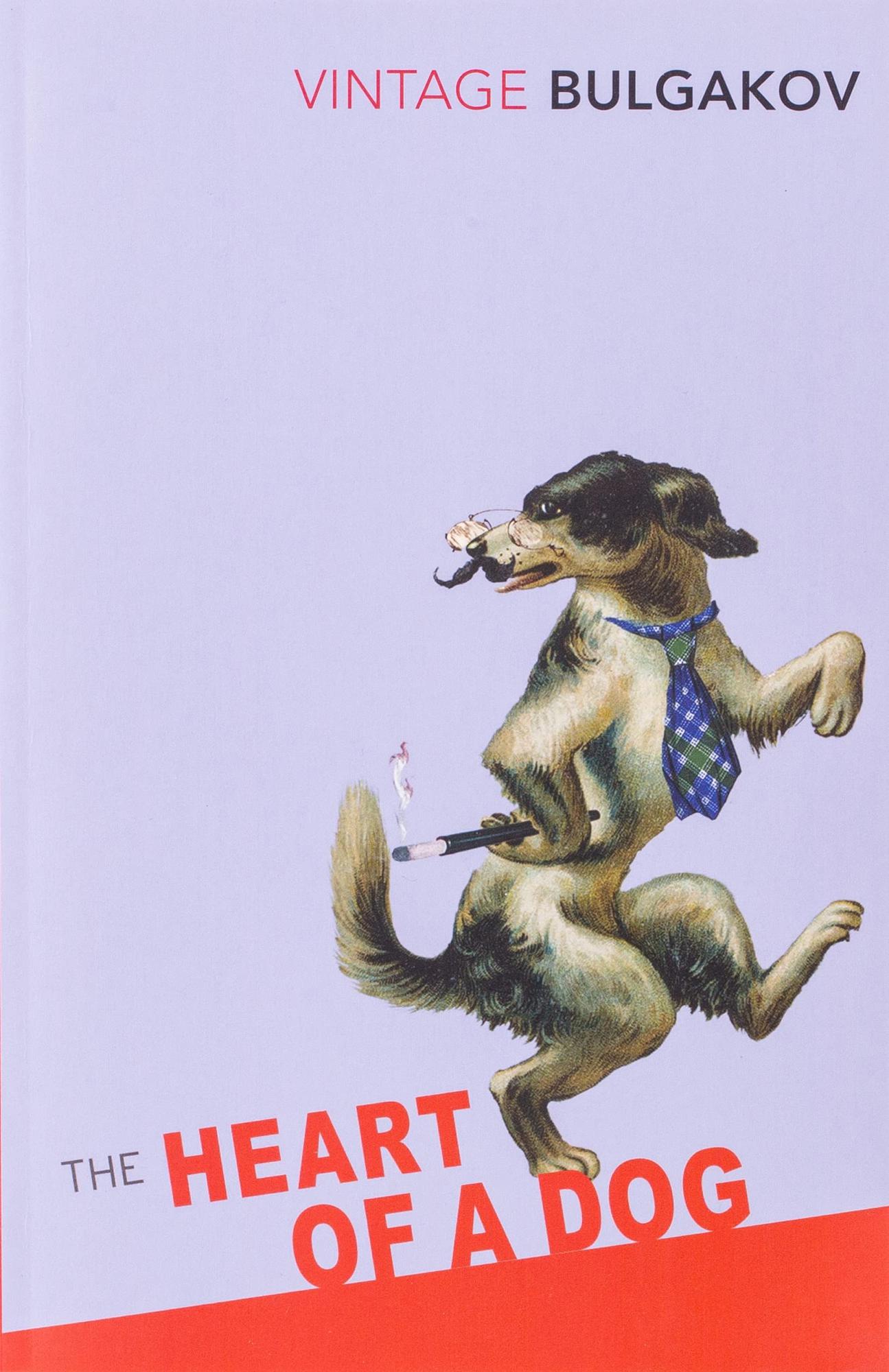 The Heart of a Dog by Mikhail Bulgakov,  Andrey Kurkov (Introduction), Michael Glenny (Translator)