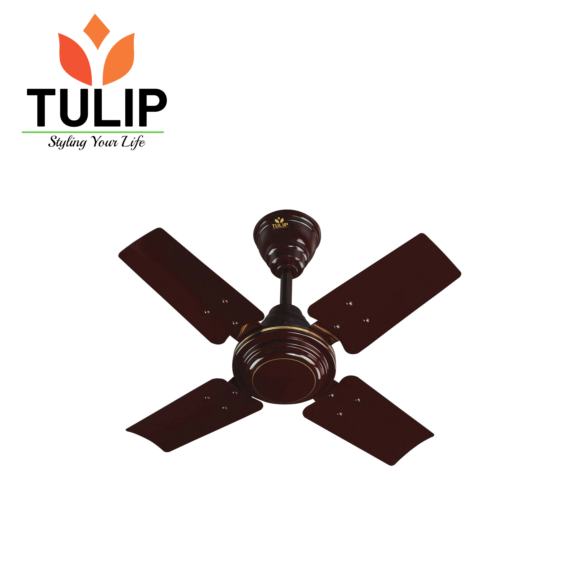 Tulip Ceiling Fan Toffan 24 Inch