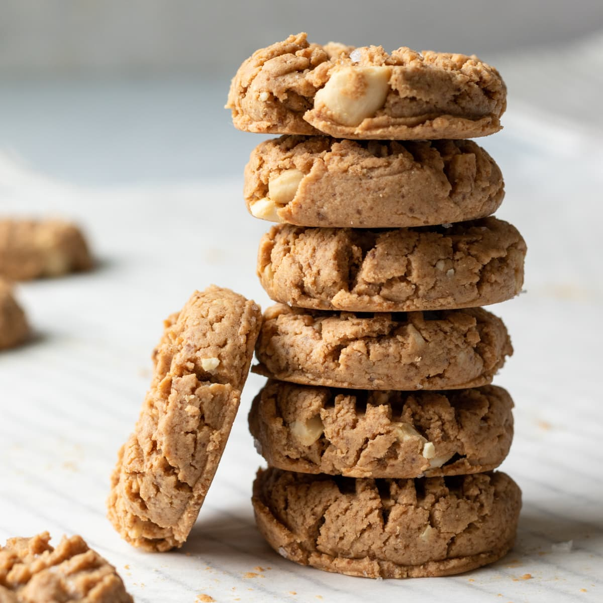 Samyog Cashew Biscuit 300gm