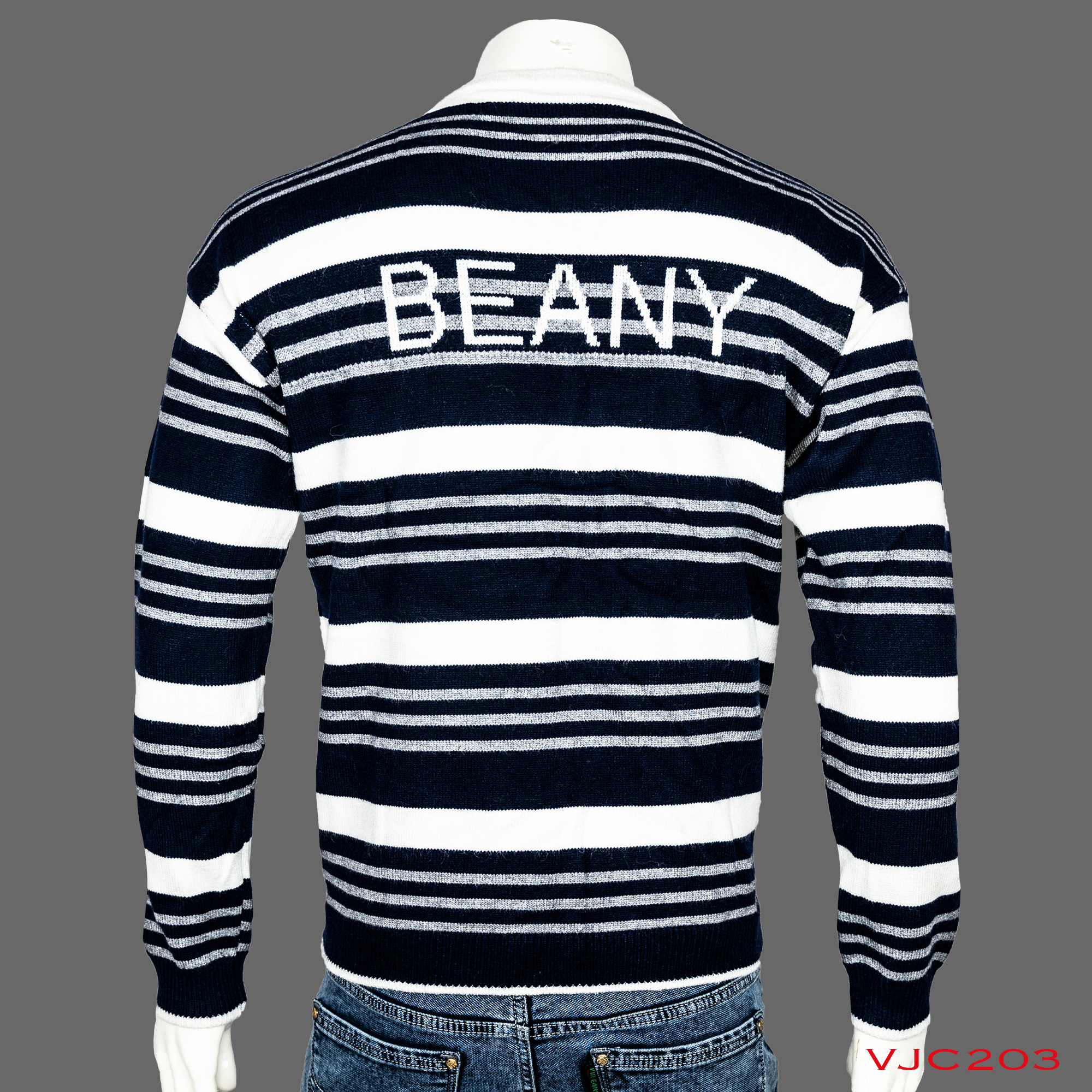 VIRJEANS Woolen (VJC203) Round Neck Lining Design Sweater Warm For Men Winter Season-Blue