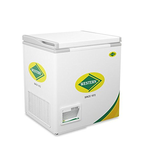 Western Deep Freezer 239L WHF225H