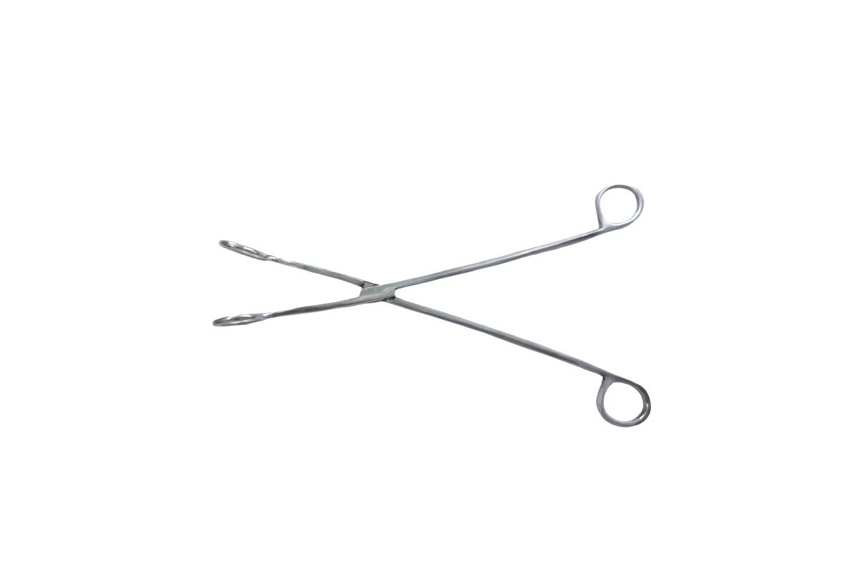 Whelping Forcep 11" Artified