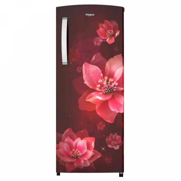 Whirlpool 72612 Refrigerator - 230 Impro Prm 3 S WineMulia-Z