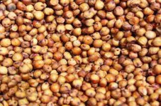White Lotus Sorghum (Junelo) 500 Gm Kavre