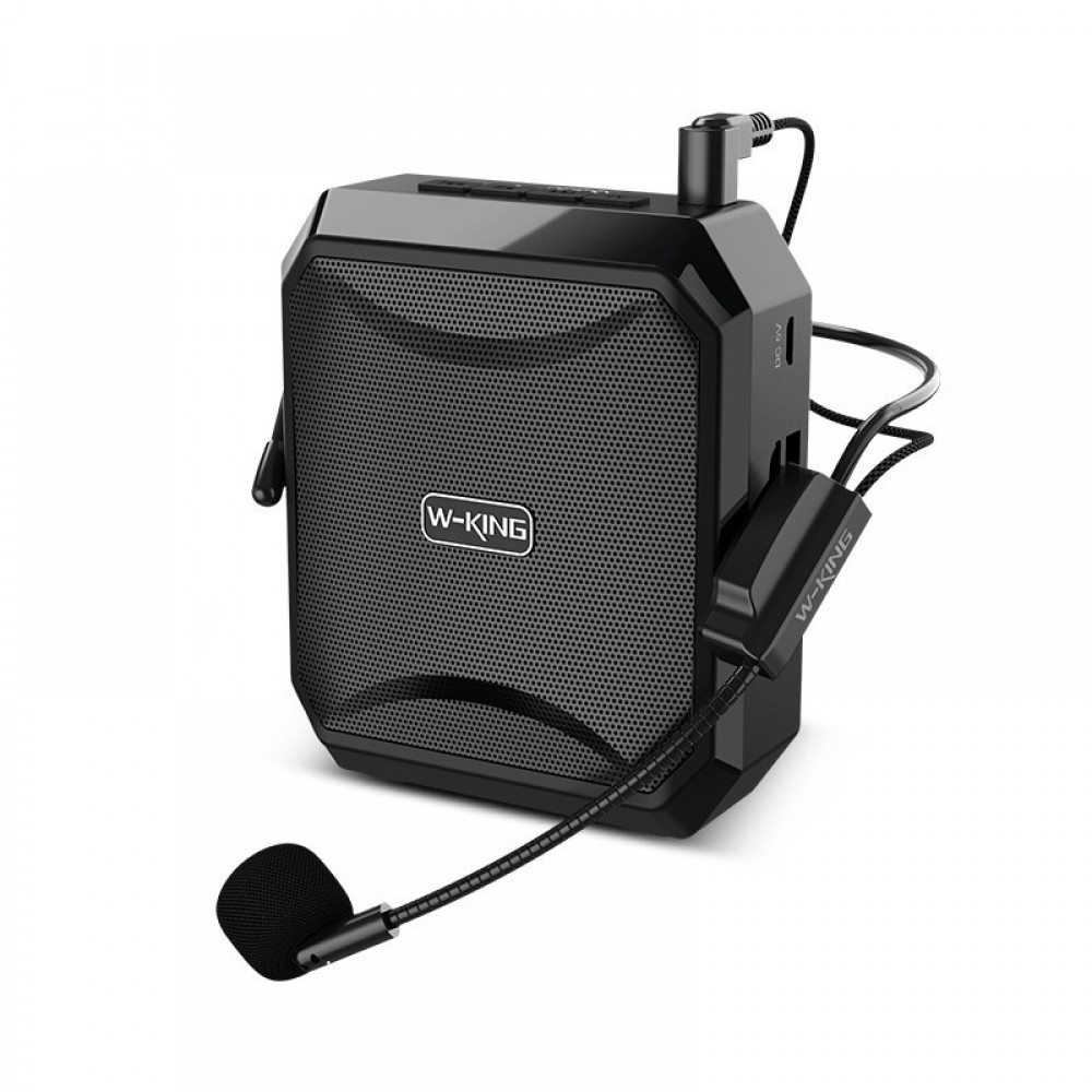 Wking Ks01 Bluetooth Speaker with Teacher Microphone
