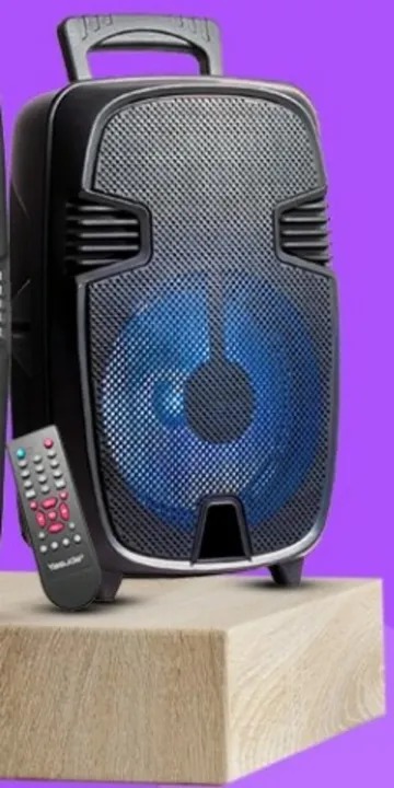 Yasuda Speaker YS-8TS10 - 8 Inch Trolley Speaker with Wired Mic